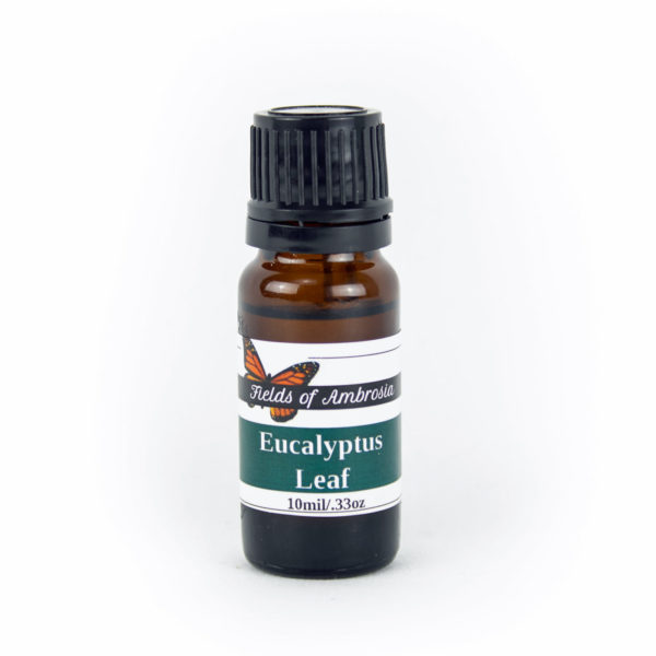 Eucalyptus Essential Oil